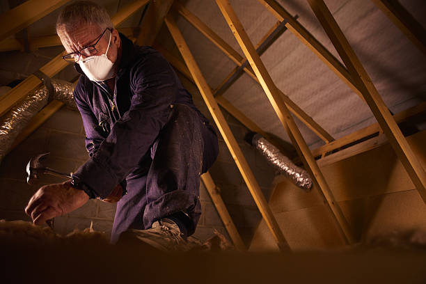 Best Cellulose Insulation in Fairfield University, CT